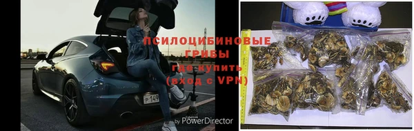 шишки Балахна