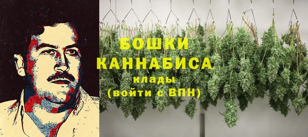 шишки Балахна