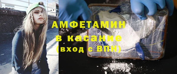 шишки Балахна