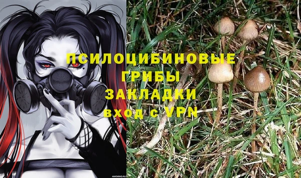 молекула духа Каменск-Шахтинский