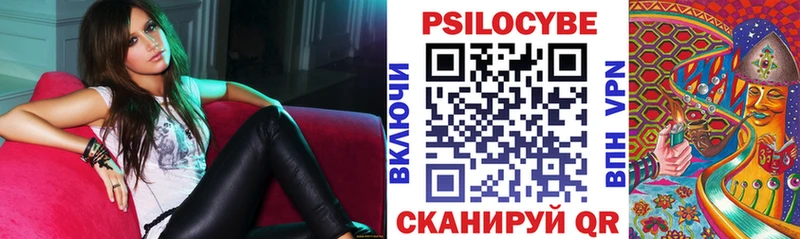 Псилоцибиновые грибы прущие грибы Бобров