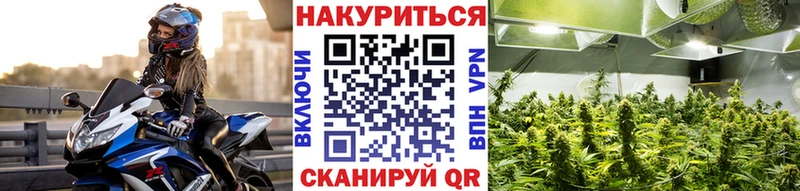 omg tor  Бобров  Конопля VHQ 
